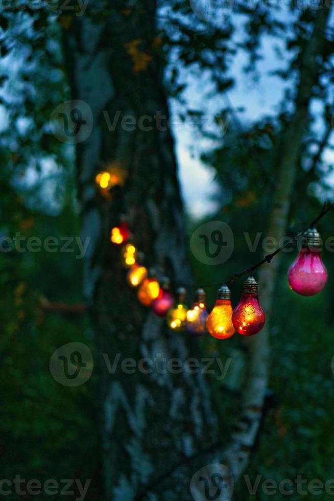 Lichterkette, die am Baum hängt. Gartenparty. Romantischer Ort. buntes Licht foto