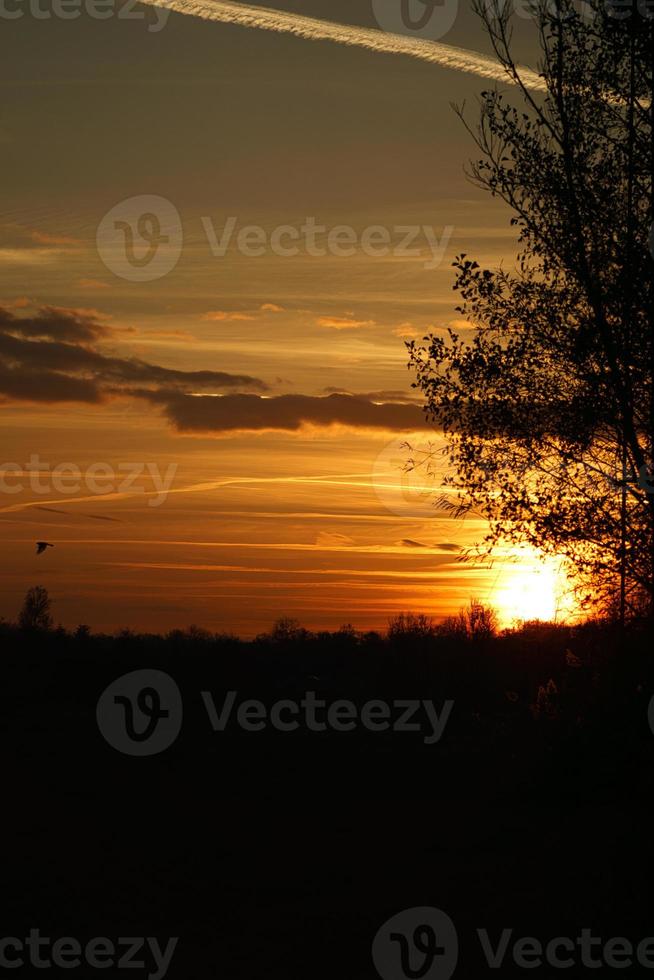 Sonnenuntergang mit brennendem Himmel hinter den Bäumen. foto