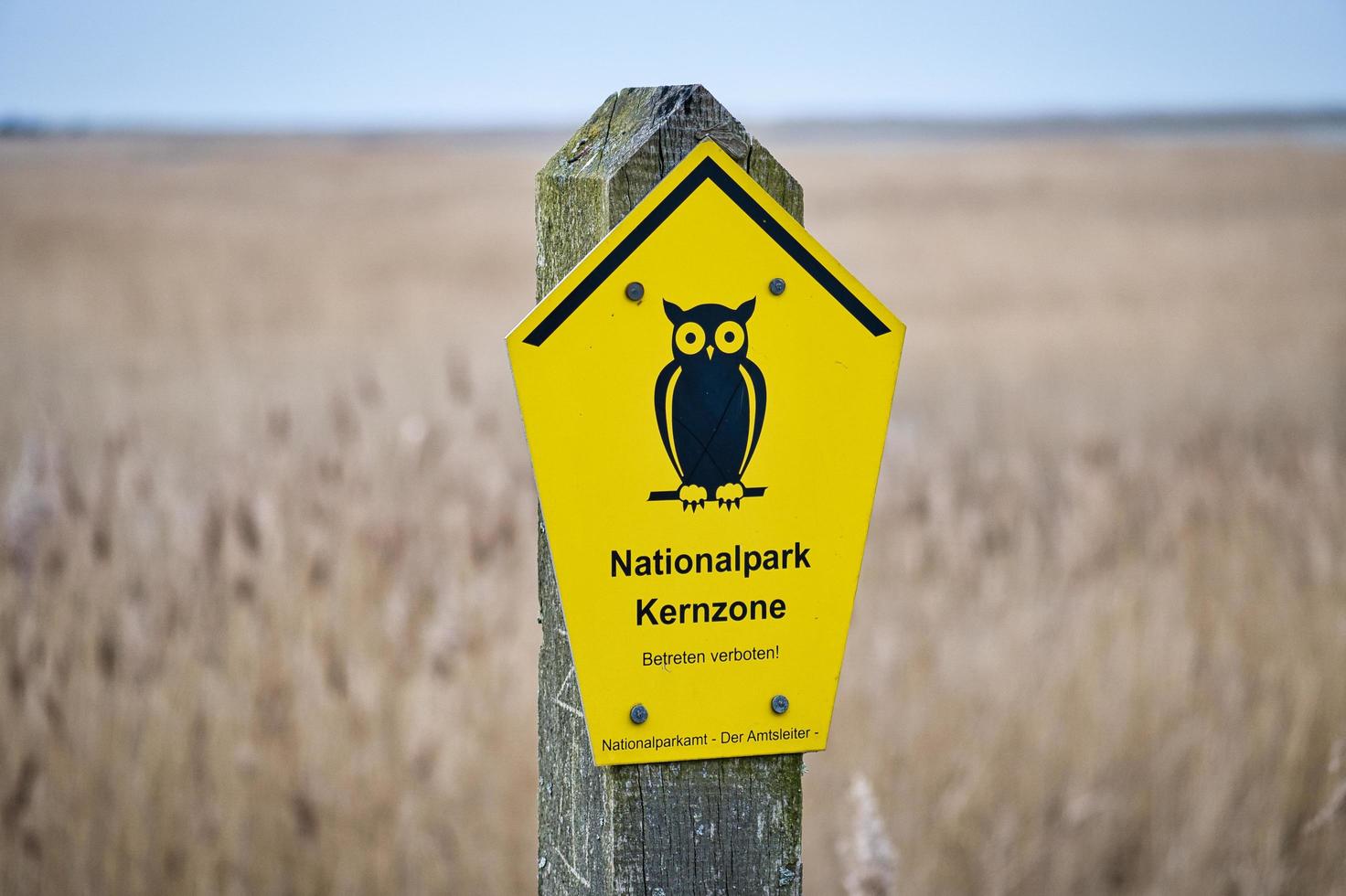 Schild Nationalpark Kernzone an der Ostsee. Symbol Eule mit gelbem Hintergrund. foto