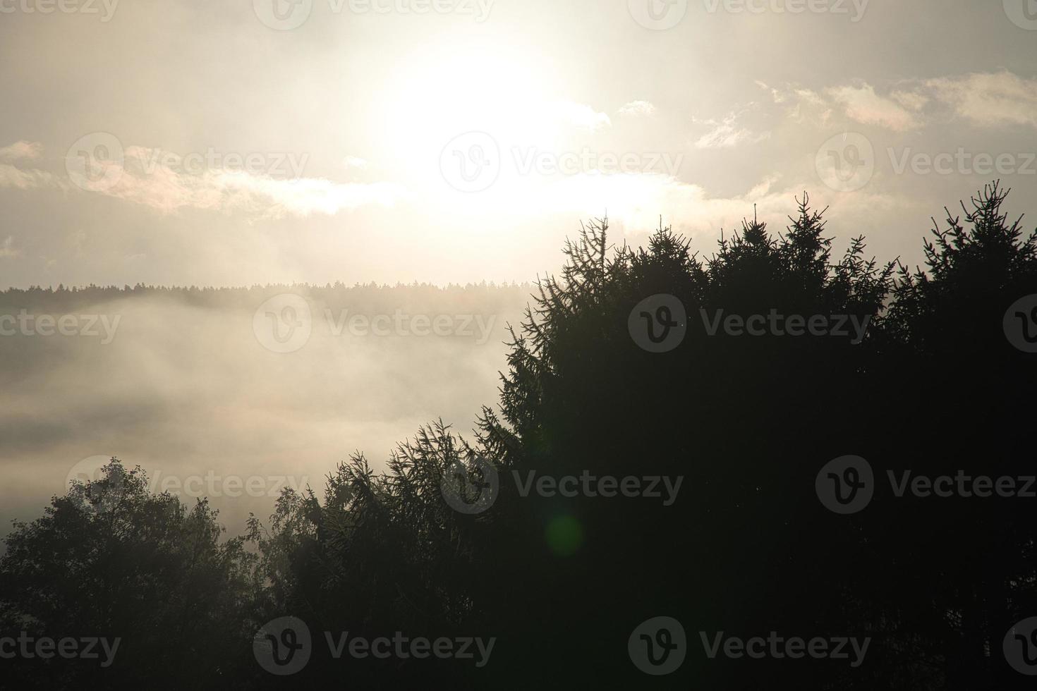 Sonnenaufgang mit Nebel in den frühen Morgenstunden. foto