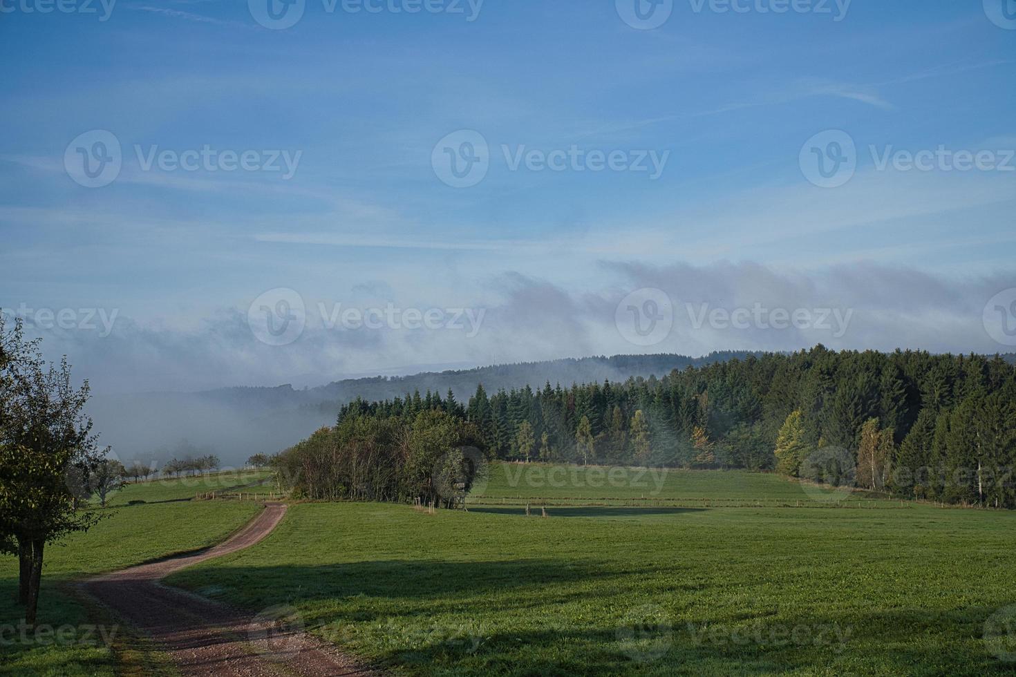 Nebel, der über den Wald zieht. Herbststimmung im Saarland. foto