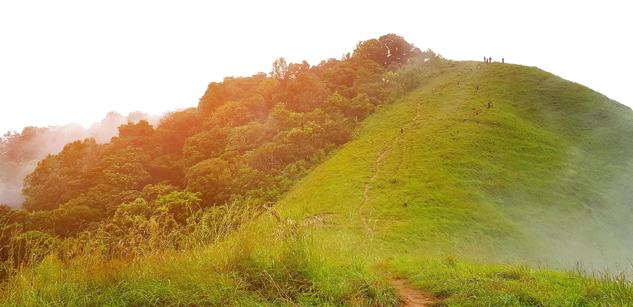 grüner Berg und Wald oder Dschungel mit orangefarbenem Sonnenlicht und Nebel. natürliche Tapeten und Schönheit der Natur. foto