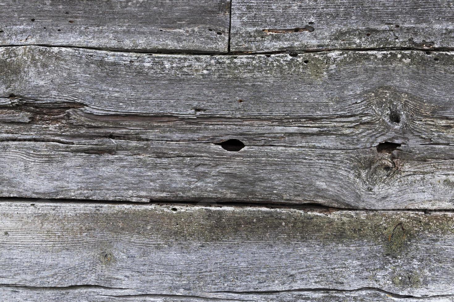 Hintergrund von einem alten Baum foto