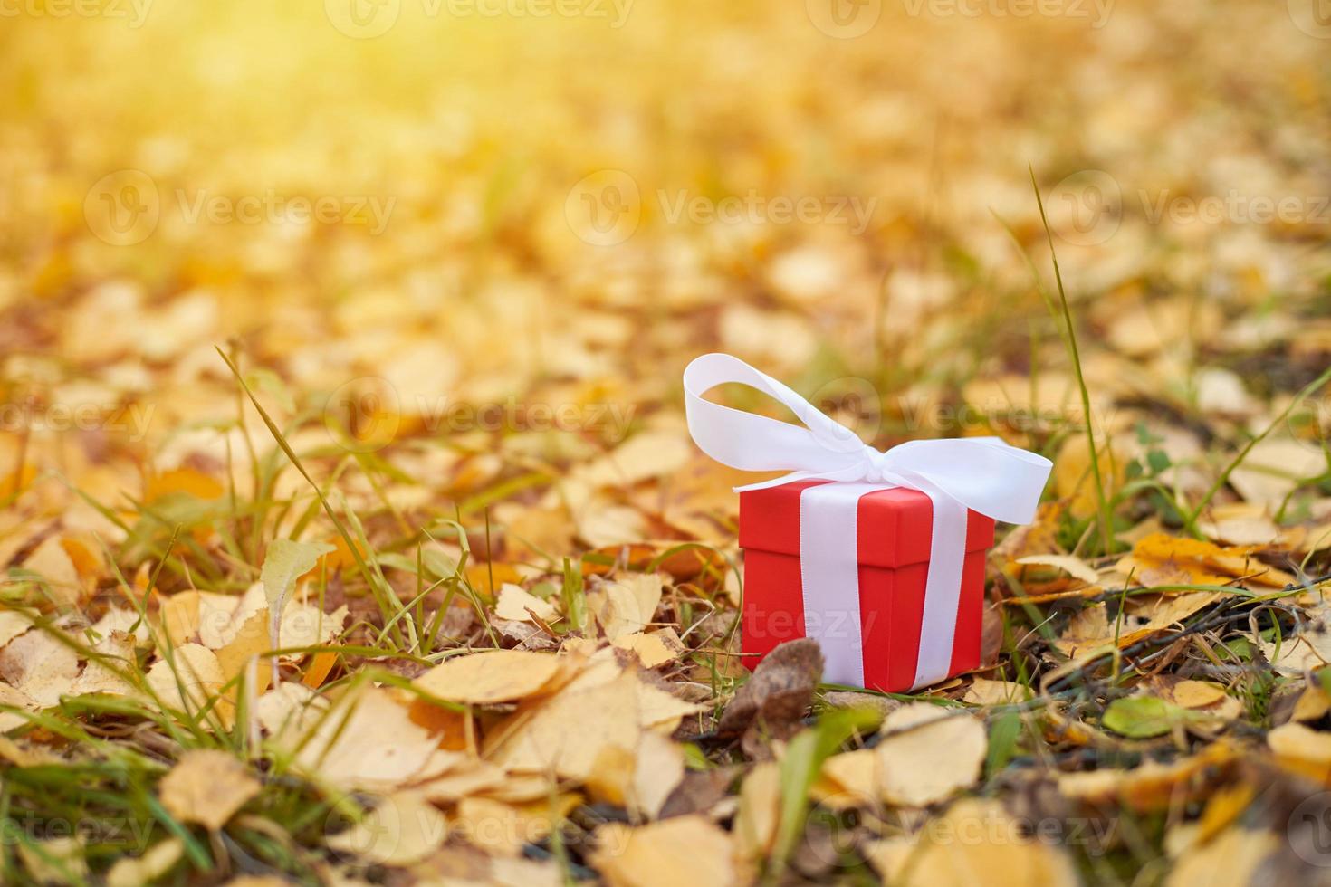 herbst geschenkbox foto