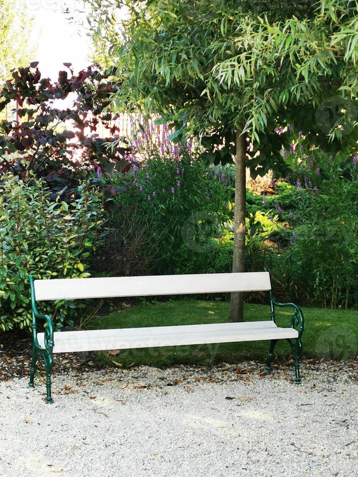 eine leere Parkbank, die vor einem Baum sitzt foto