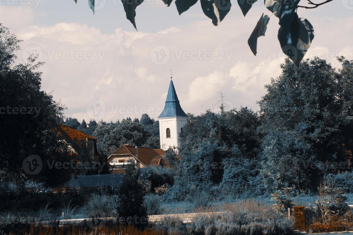 ein Schloss, umgeben von Bäumen foto