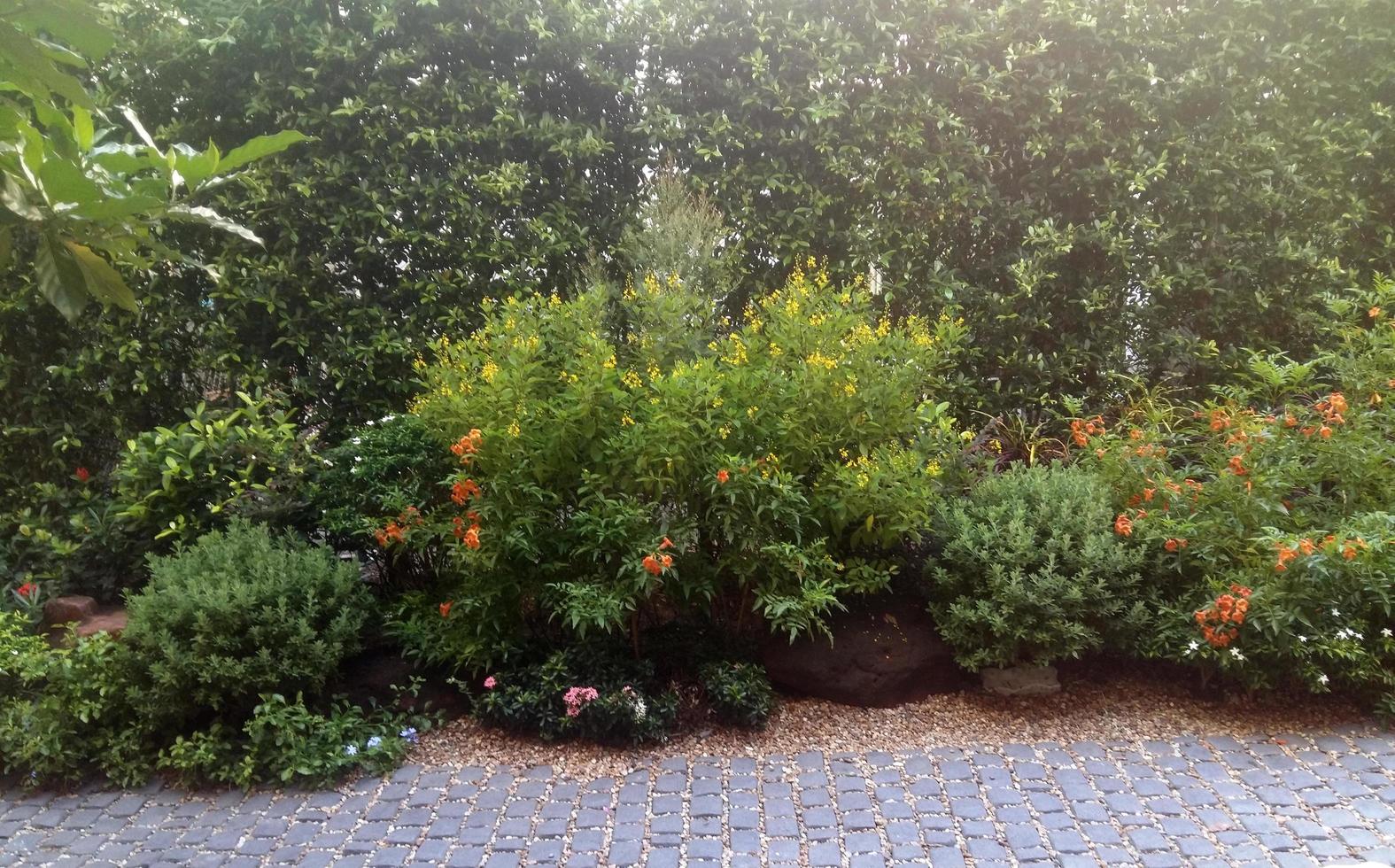 schöne vertikale Blumen im Garten foto