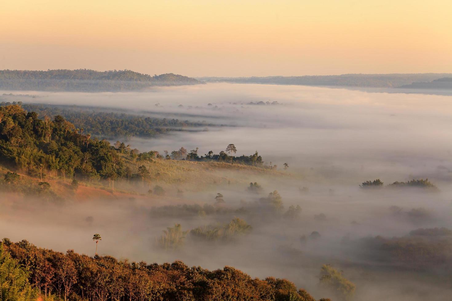 nebel in khao takhian ngo aussichtspunkt in khao-kho phetchabun, thailand foto