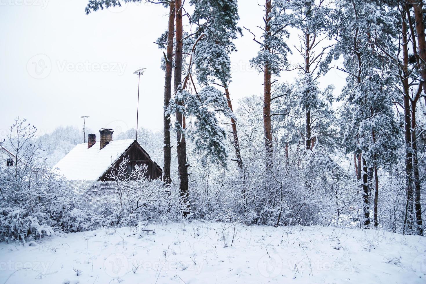 rustikales Holzhaus im verschneiten Wald. Winterlandschaft. schneebedeckte Bäume mit Frost. Wintermärchen foto