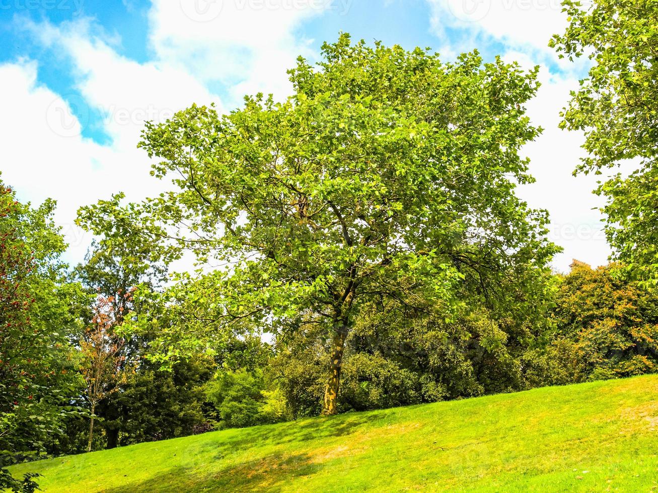 hdr kelvingrove park in glasgow foto