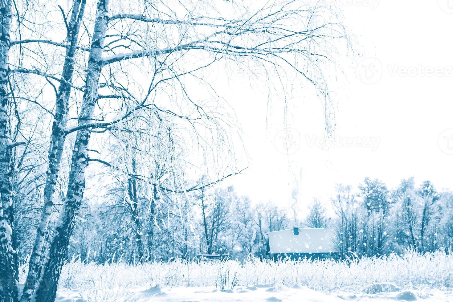 Dorf im Winter schneebedeckter Wald. Urlaubskarte. foto