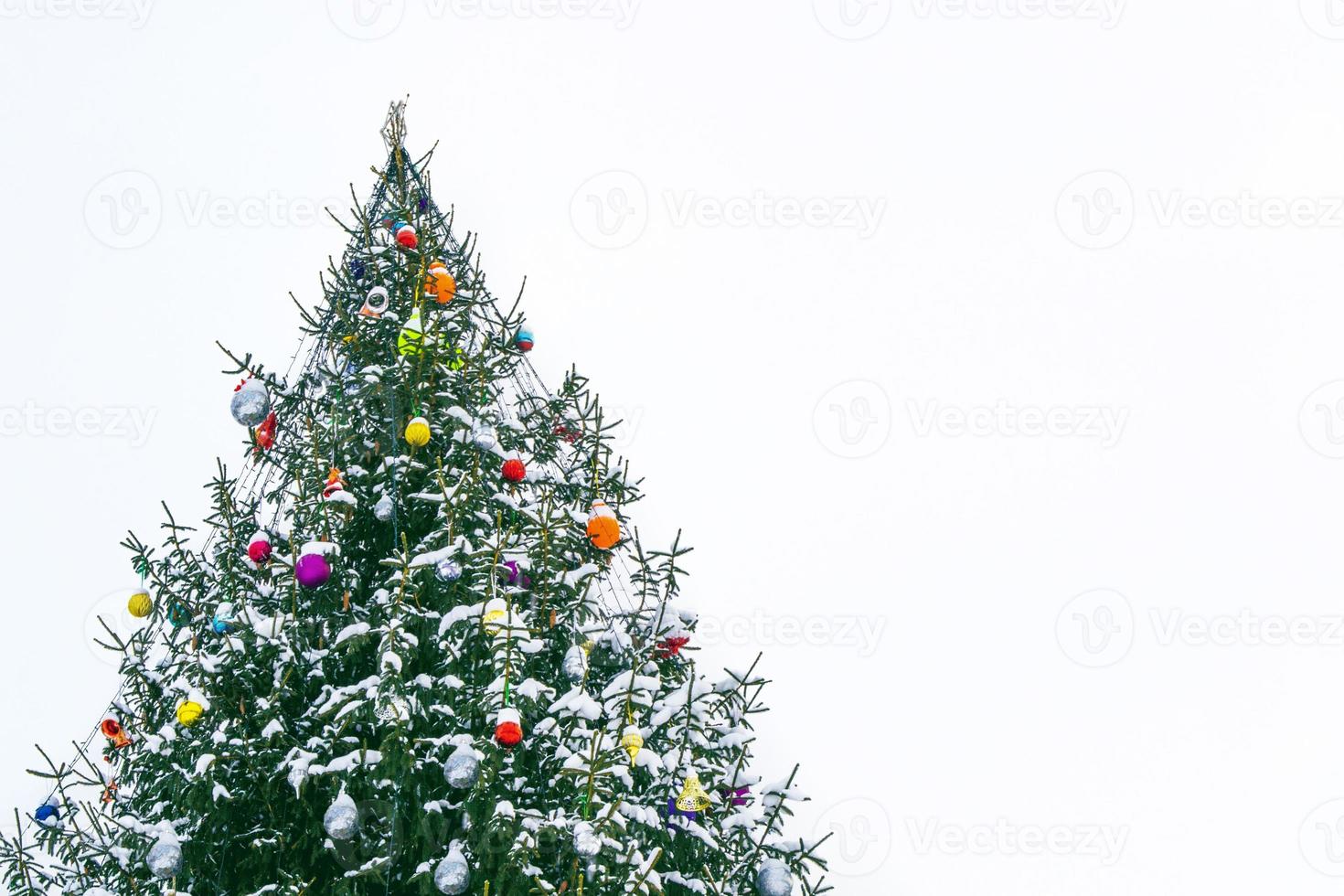 Frohe Weihnachten und ein glückliches Neues Jahr. schneebedeckte Bäume. foto