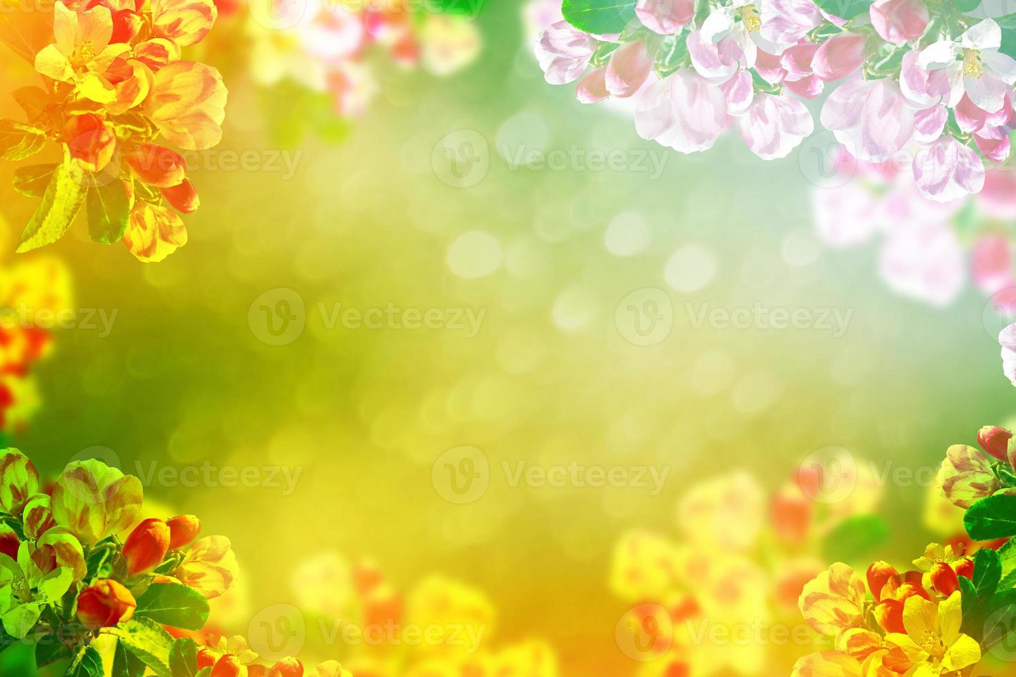 leuchtend bunte Frühlingsblumen foto