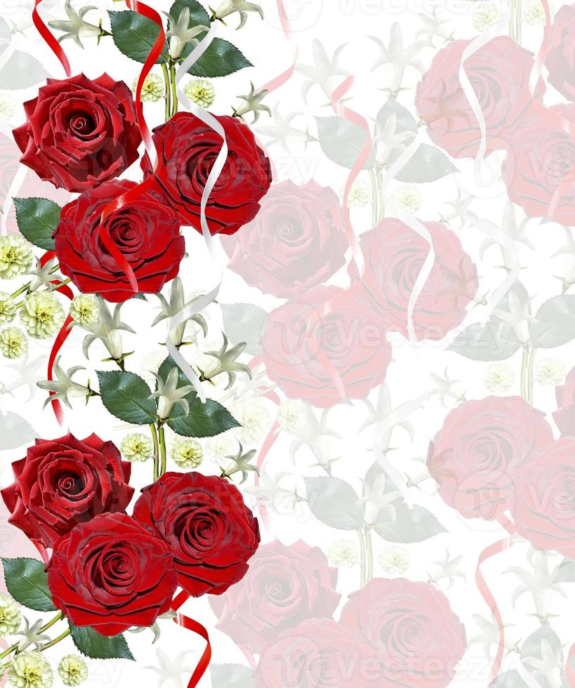 Hintergrund von Blumen Rosen foto