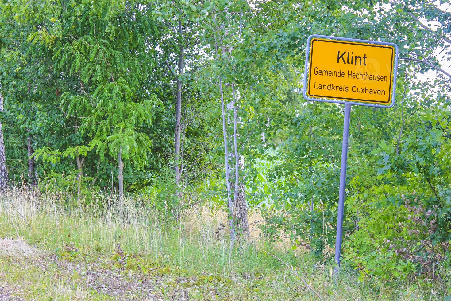 naturpanorama gelb verkehrsschild grün pflanzen bäume wald deutschland. foto