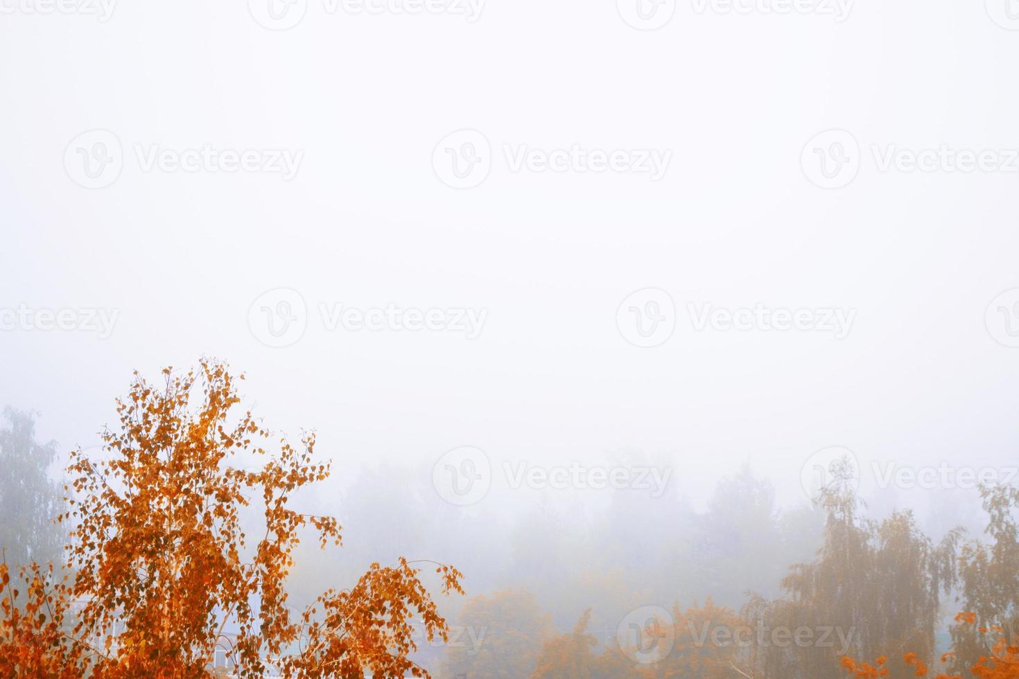 Herbstlandschaft mit leuchtend buntem Laub. Indischer Sommer. foto