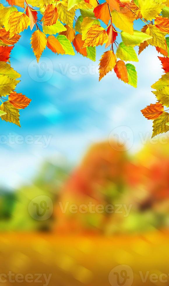 herbstliche Landschaft. Herbstlaub. Natur. foto