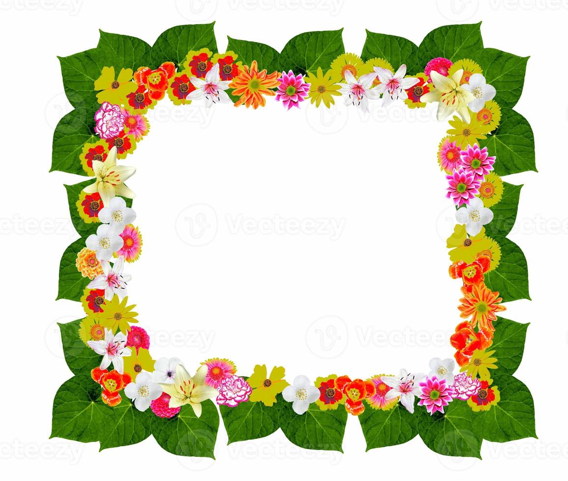 bunte helle Blumen isoliert auf weißem Hintergrund foto