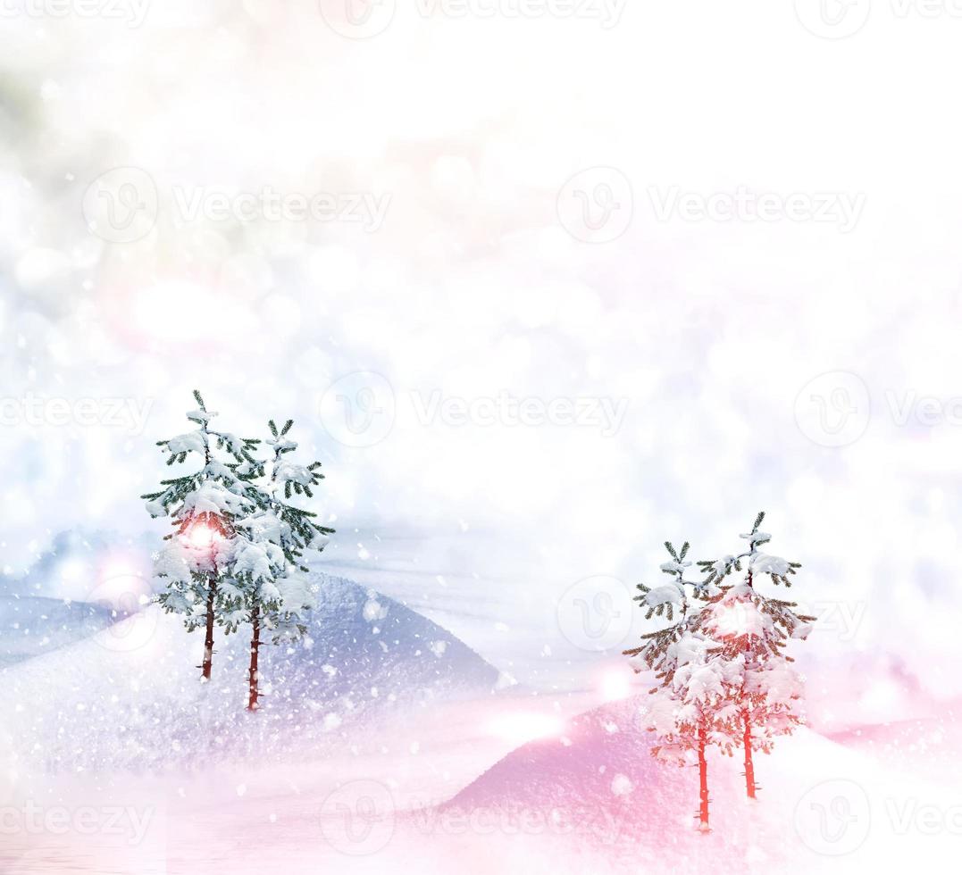 Wald im Frost. Winterlandschaft. schneebedeckte Bäume foto