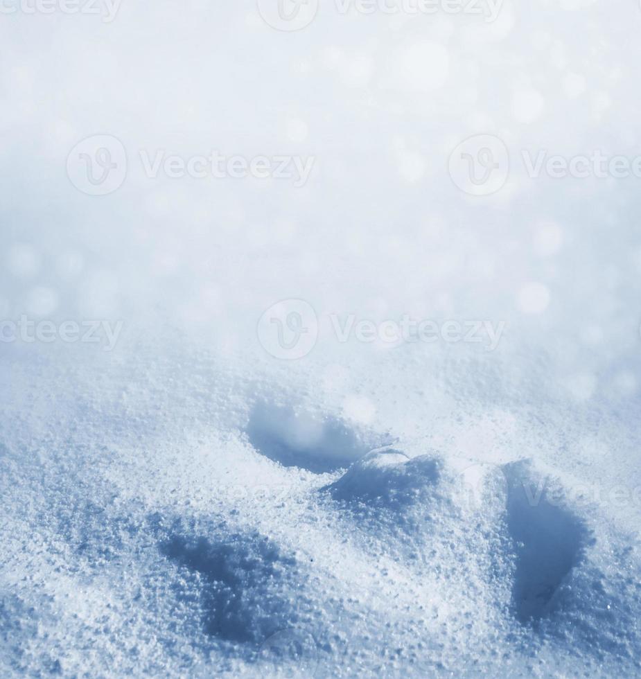 Hintergrund. Winterlandschaft. die Beschaffenheit des Schnees foto