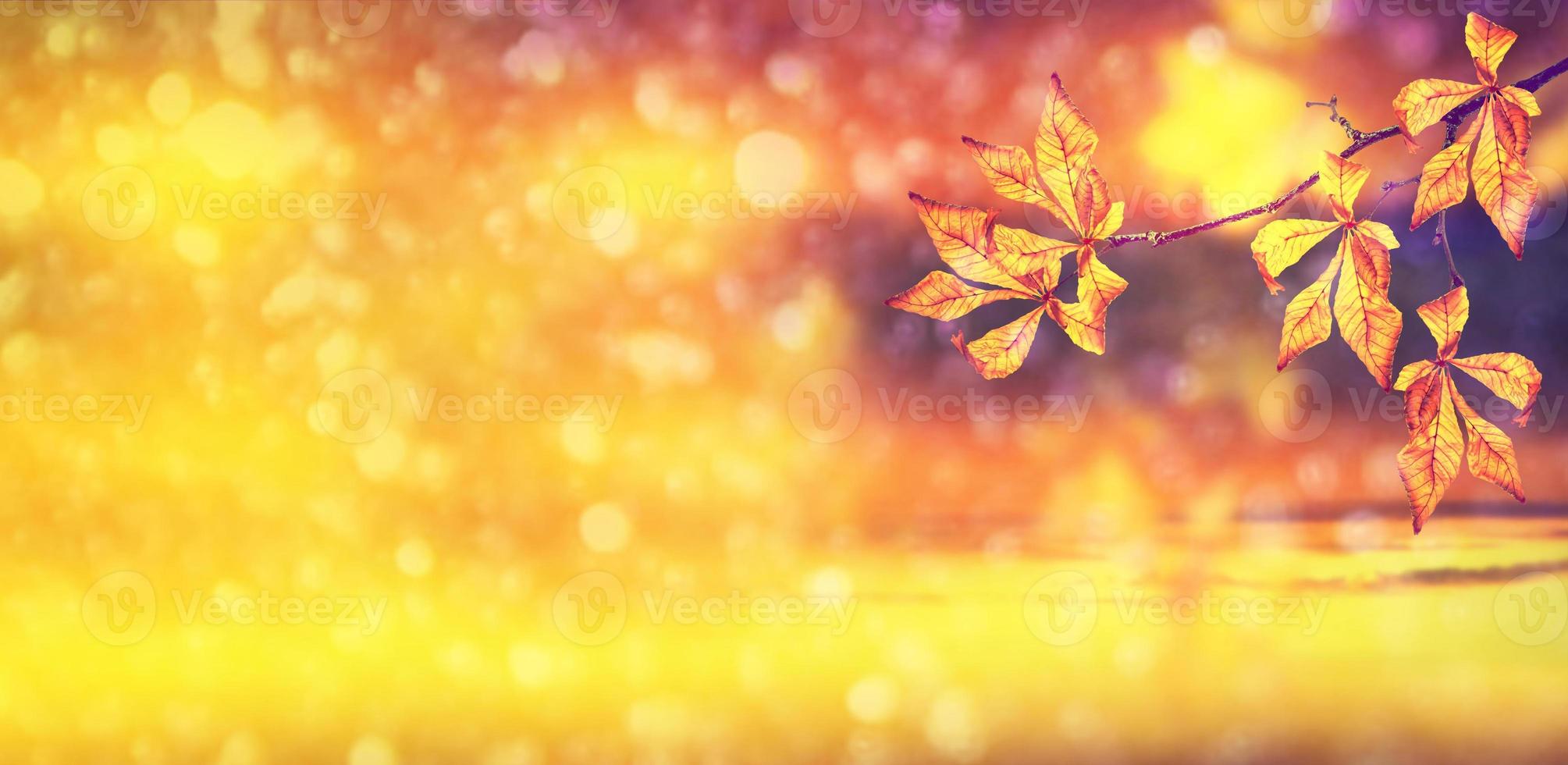 Herbstlandschaft mit leuchtend buntem Laub. Indischer Sommer. foto