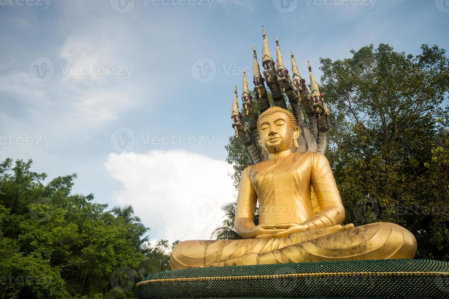 goldenes Bild von Buddha im Dschungel foto