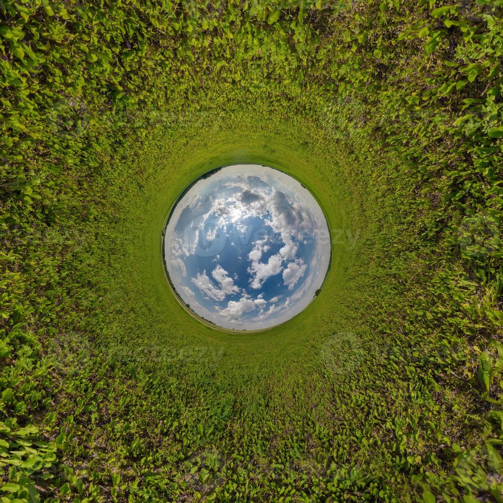 blauer kugel kleiner planet innerhalb des grünen grases runder rahmenhintergrund. foto