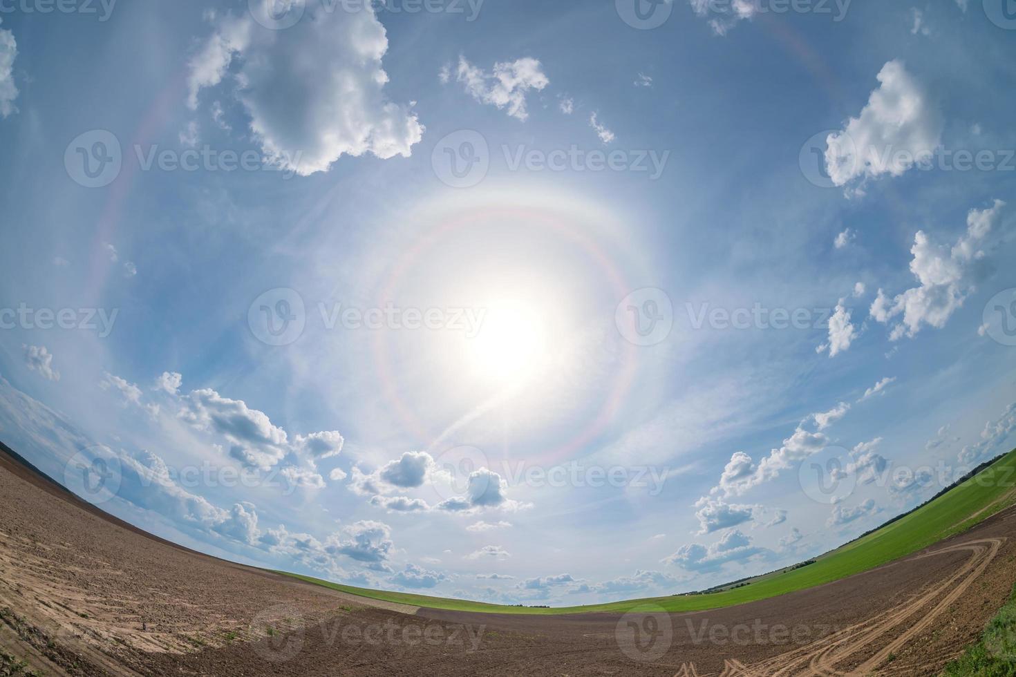 Halo an einem hellen sonnigen Tag im Feld. weiter Winkel foto