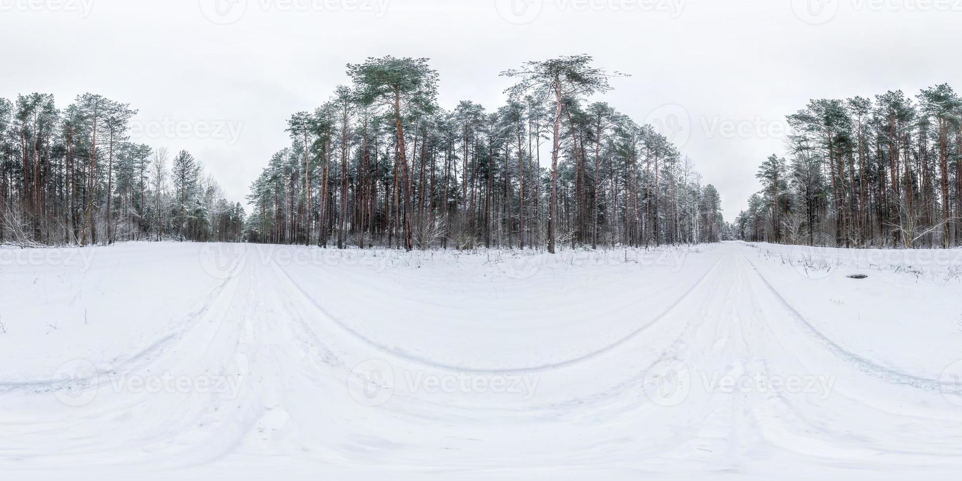 Winter volle sphärische 360-Grad-Winkelansicht Panoramastraße in einem verschneiten Wald mit grauem, blassen Himmel in gleichrechteckiger Projektion. vr ar-Inhalt foto