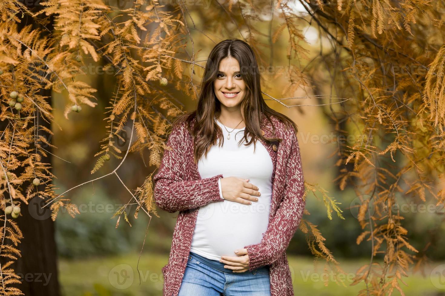 junge schwangere Frau im Herbstpark foto