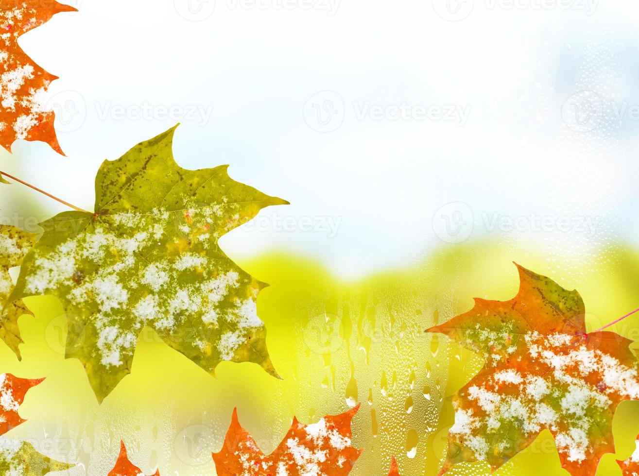 Herbstlandschaft mit leuchtend buntem Laub. Indischer Sommer. foto