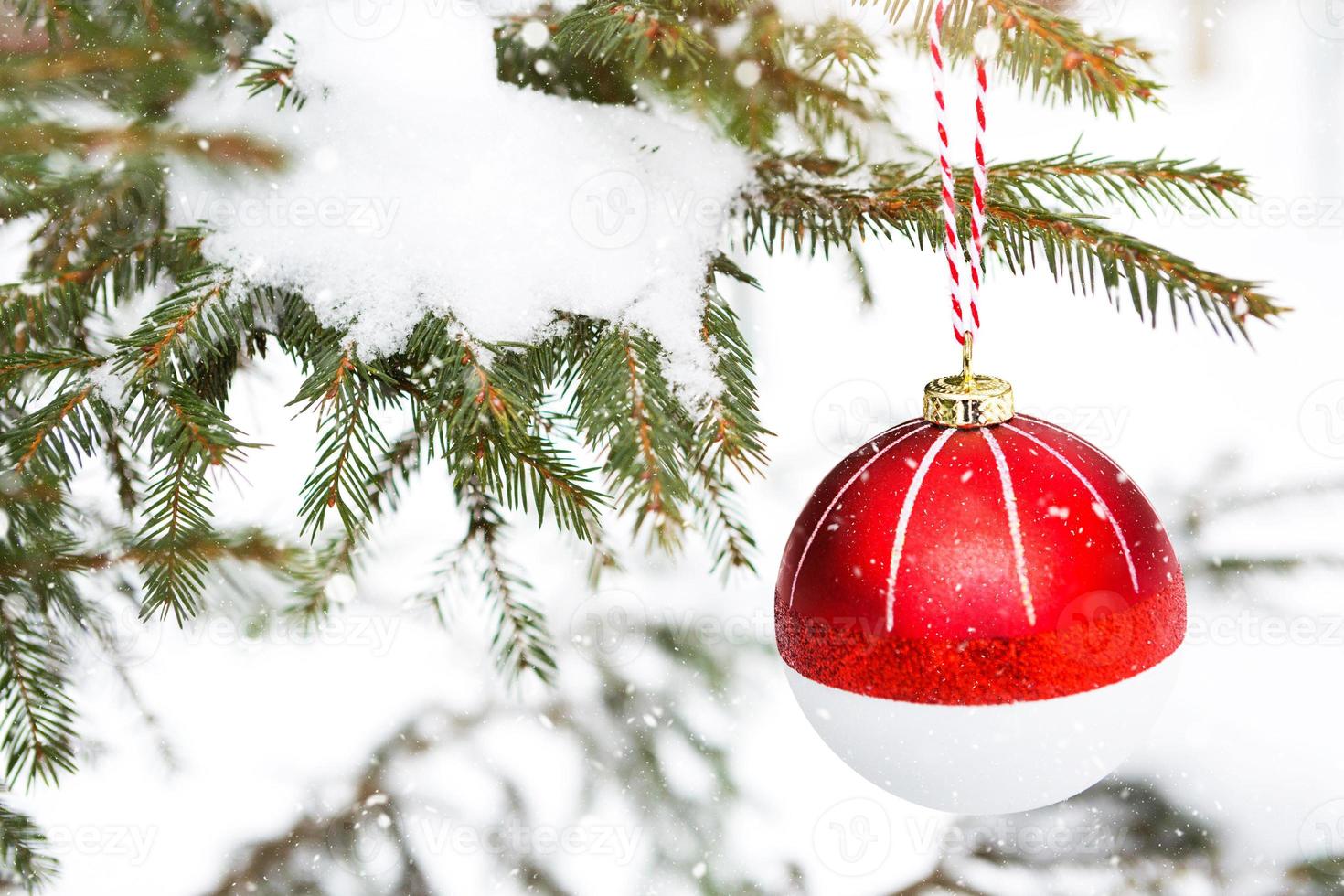 Ein roter Weihnachtsball auf einem Zweig einer natürlichen Fichte, die mit Schnee bedeckt ist. weihnachten, neujahr im freien. Schneefall, festliche Stimmung von Märchen und Magie, Straßendekoration. foto