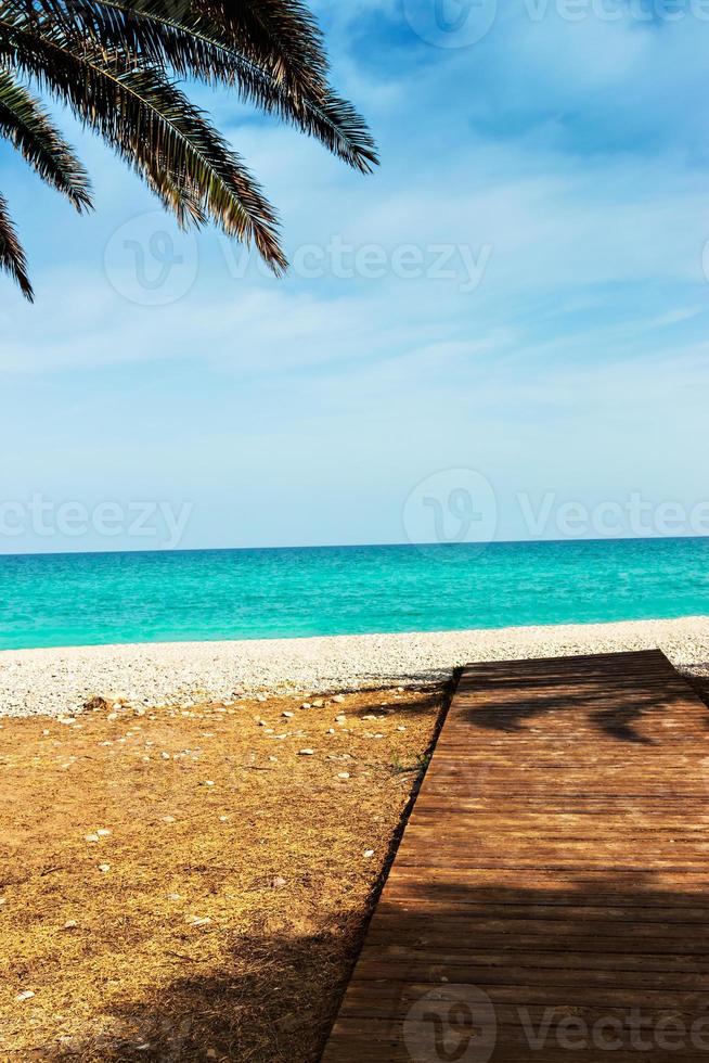 Holzsteg am Strand mit Palmen. vertikales Bild. foto
