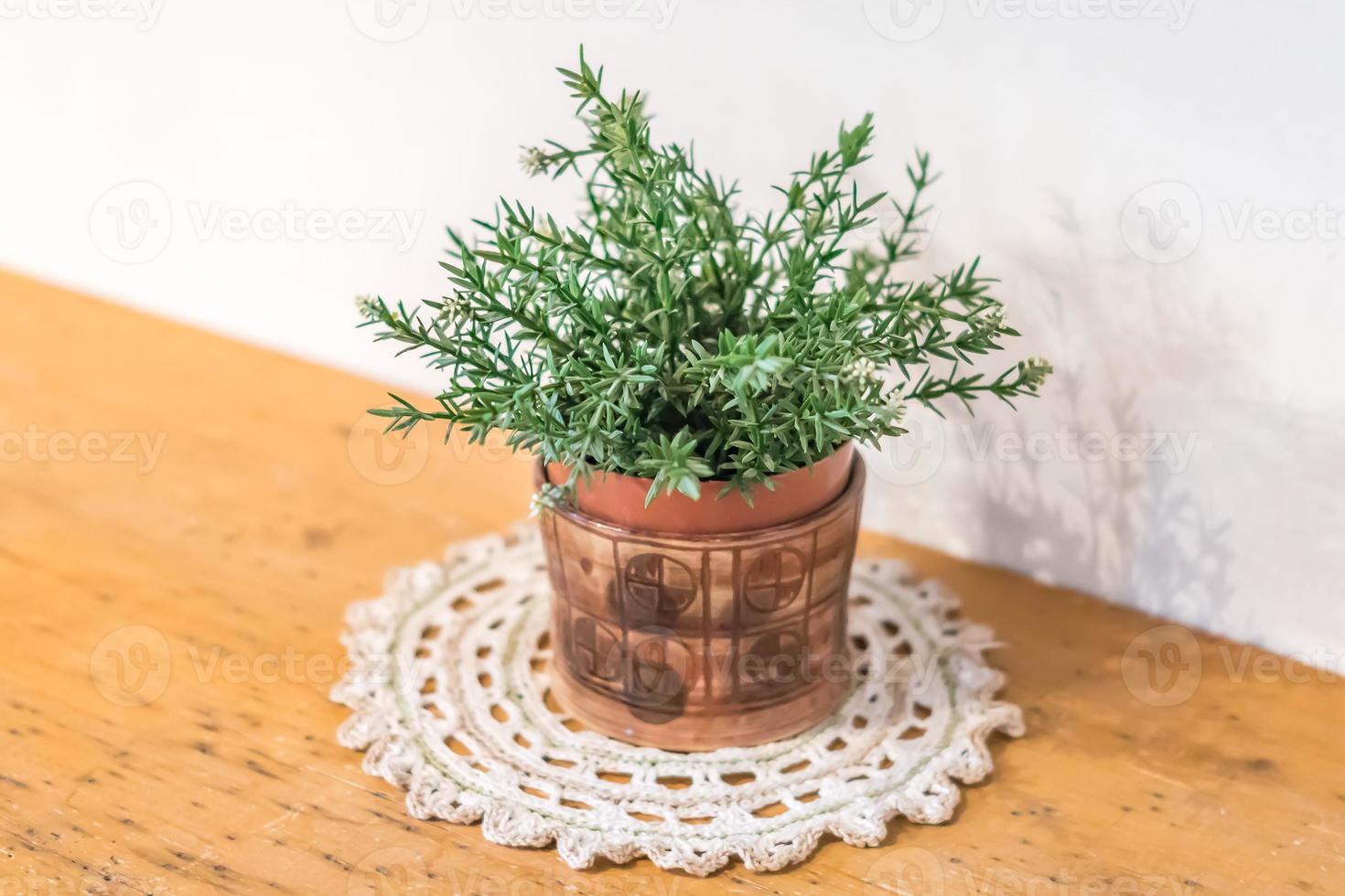 kleine grüne Pflanze im dekorativen Topf auf Holztisch foto