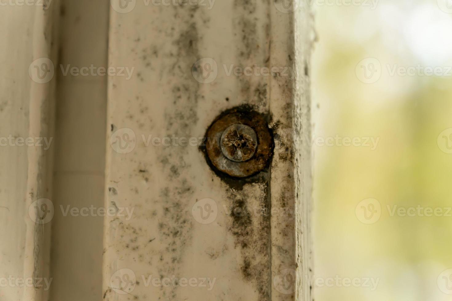 Schimmel auf hölzernen Fensterrahmen aus nächster Nähe foto