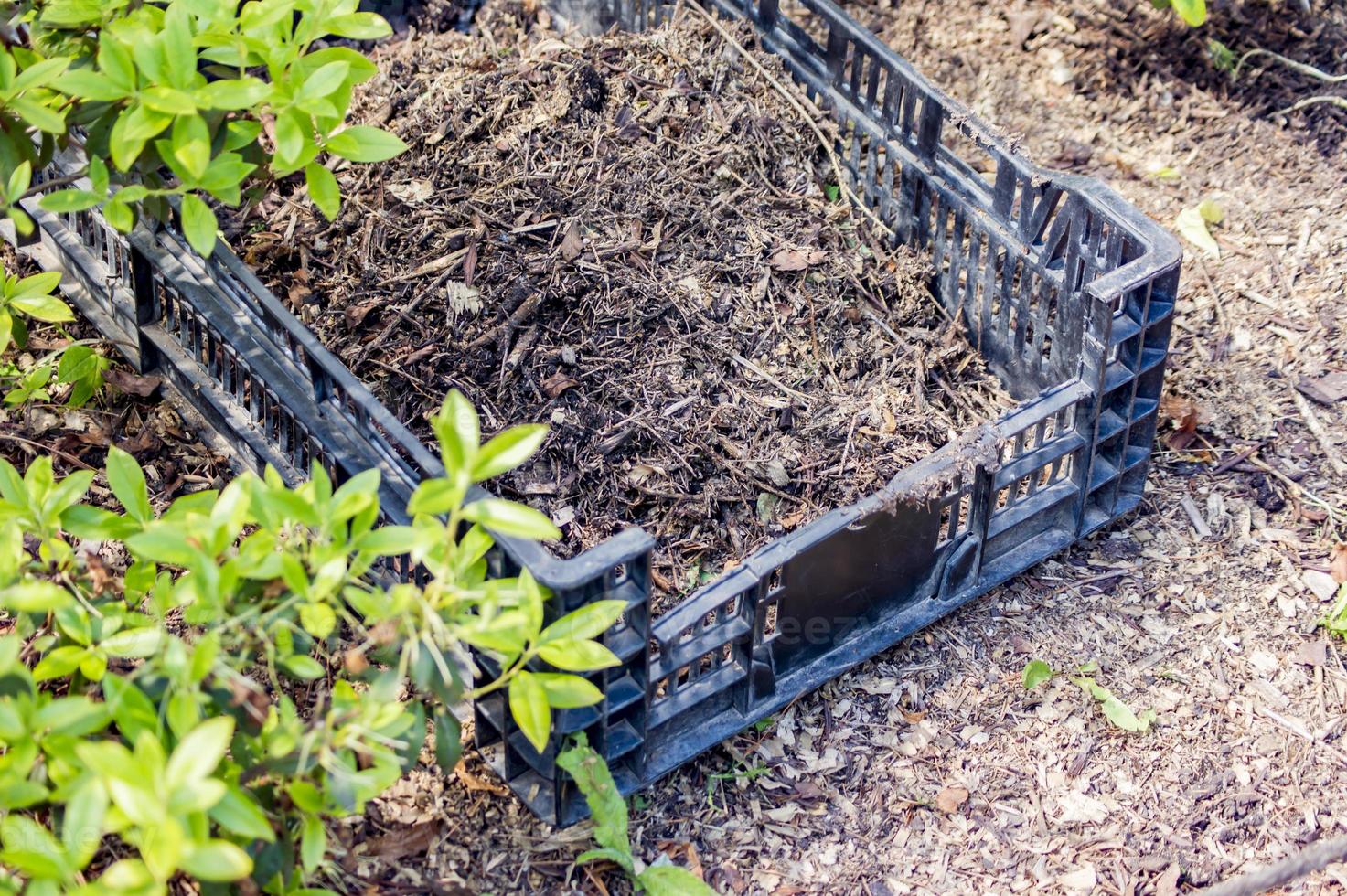 Plastikbox mit Erde auf dem Boden im Garten foto