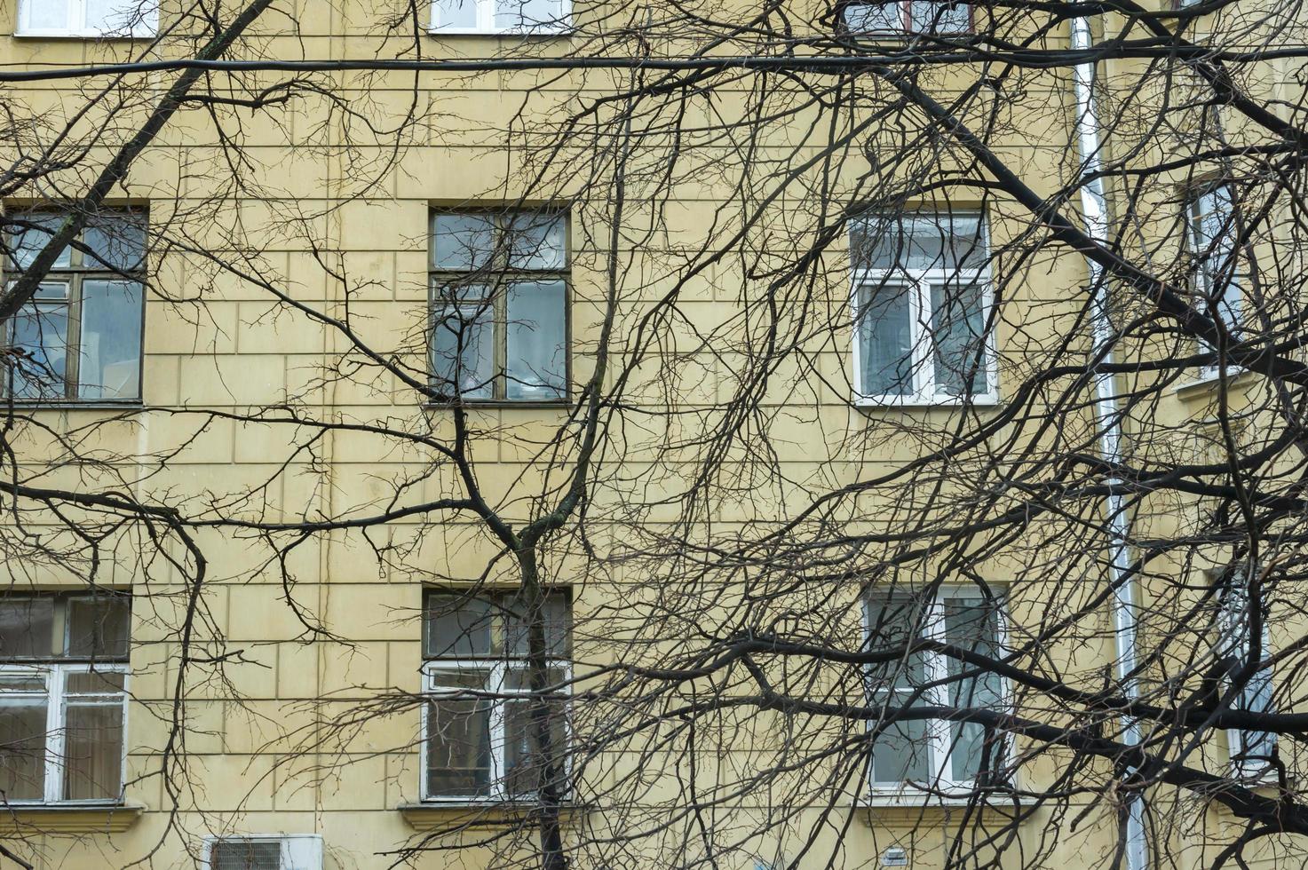 Fenster eines Gebäudes durch die Bäume foto