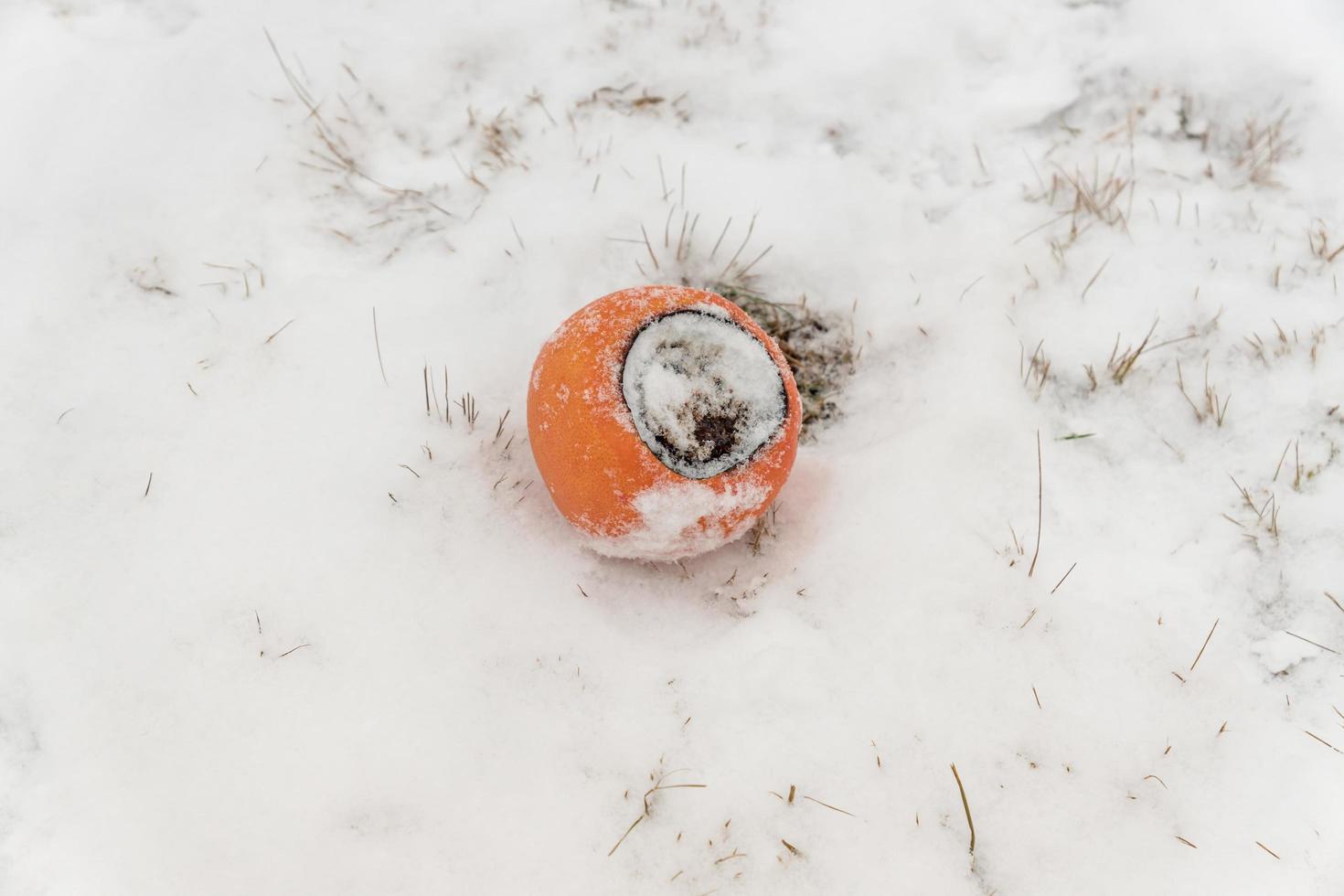 verbrannte Grapefruit auf Schneehintergrund foto