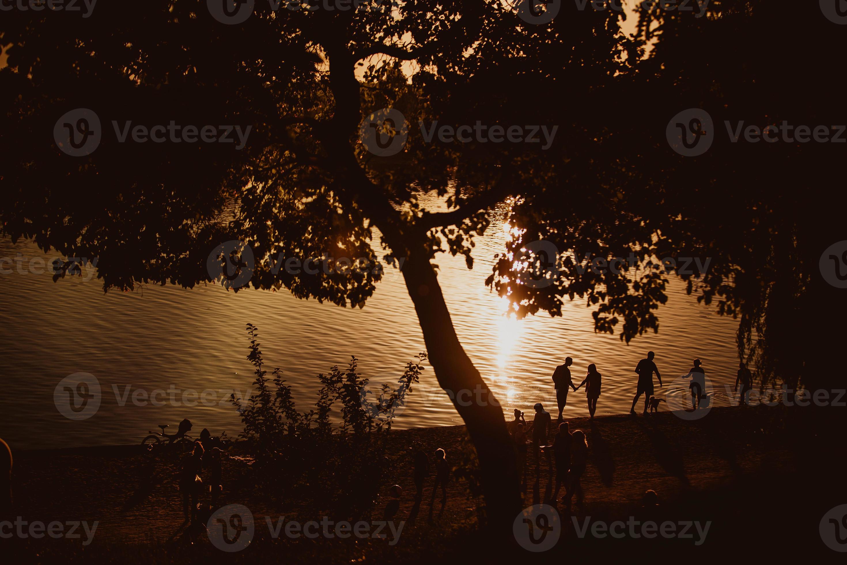 Entspannung am Strand, atemberaubender Sonnenuntergang, Sonnenuntergang in der Nähe des Wassers, Sonnenuntergang warf die Bäume Menschen in der Nähe des Wassers, Menschen in der Nähe des Sonnenuntergangs foto