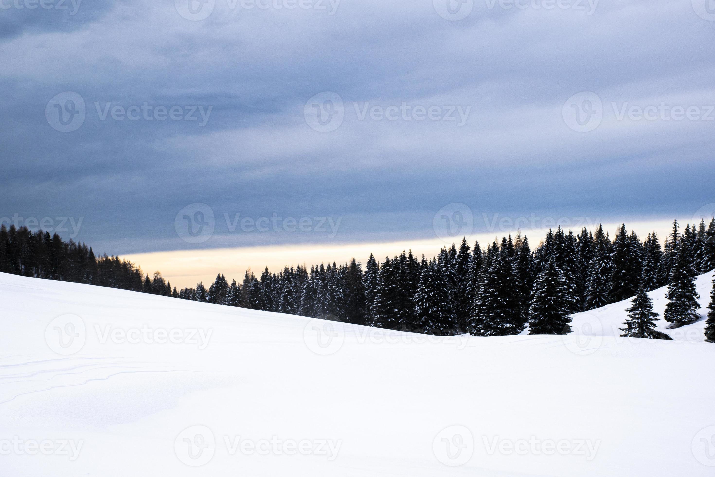 Porta Manazzo im Winter mit Schnee und Kiefern foto