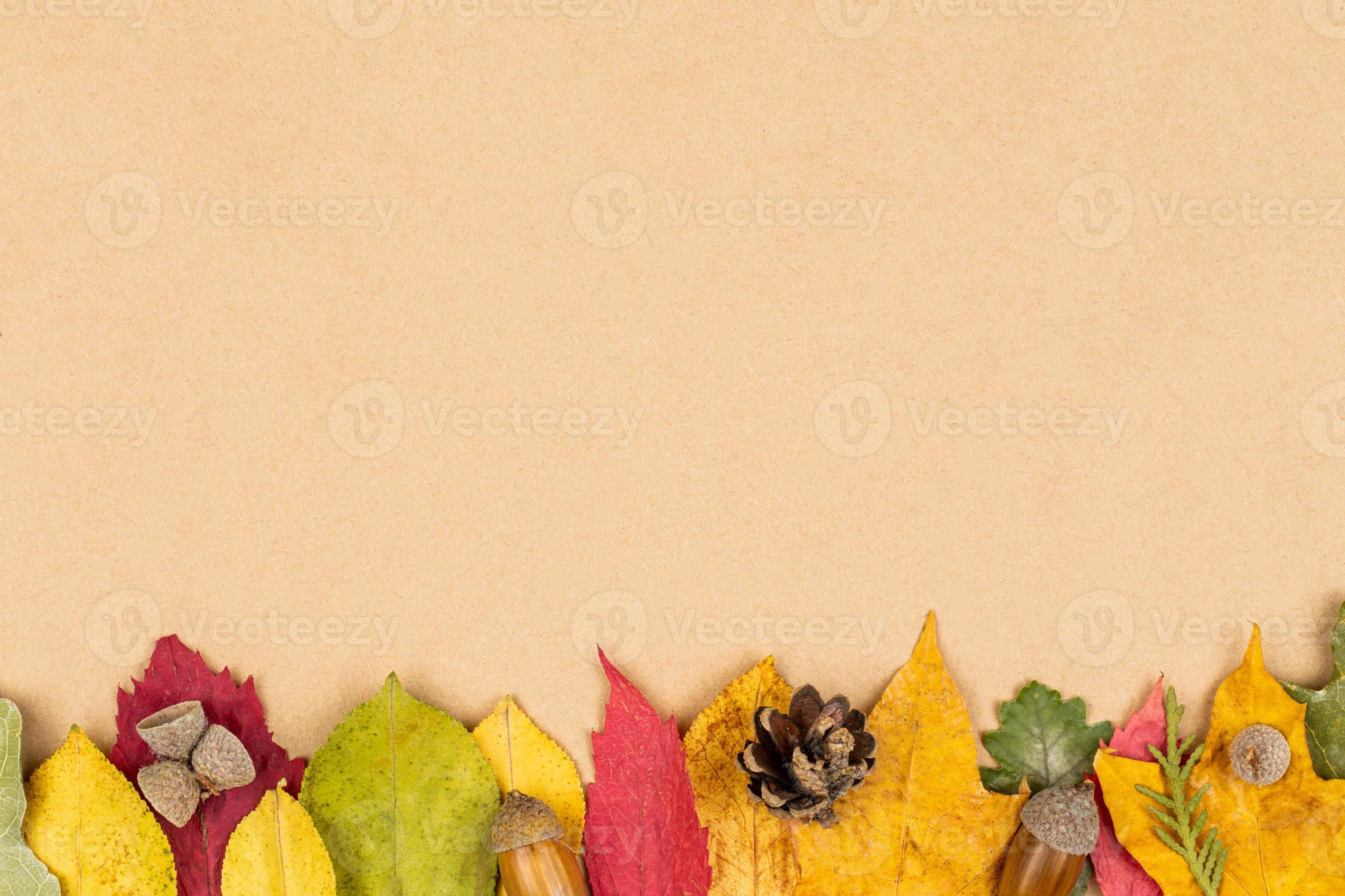 bunter Herbst hinterlässt Hintergrund foto