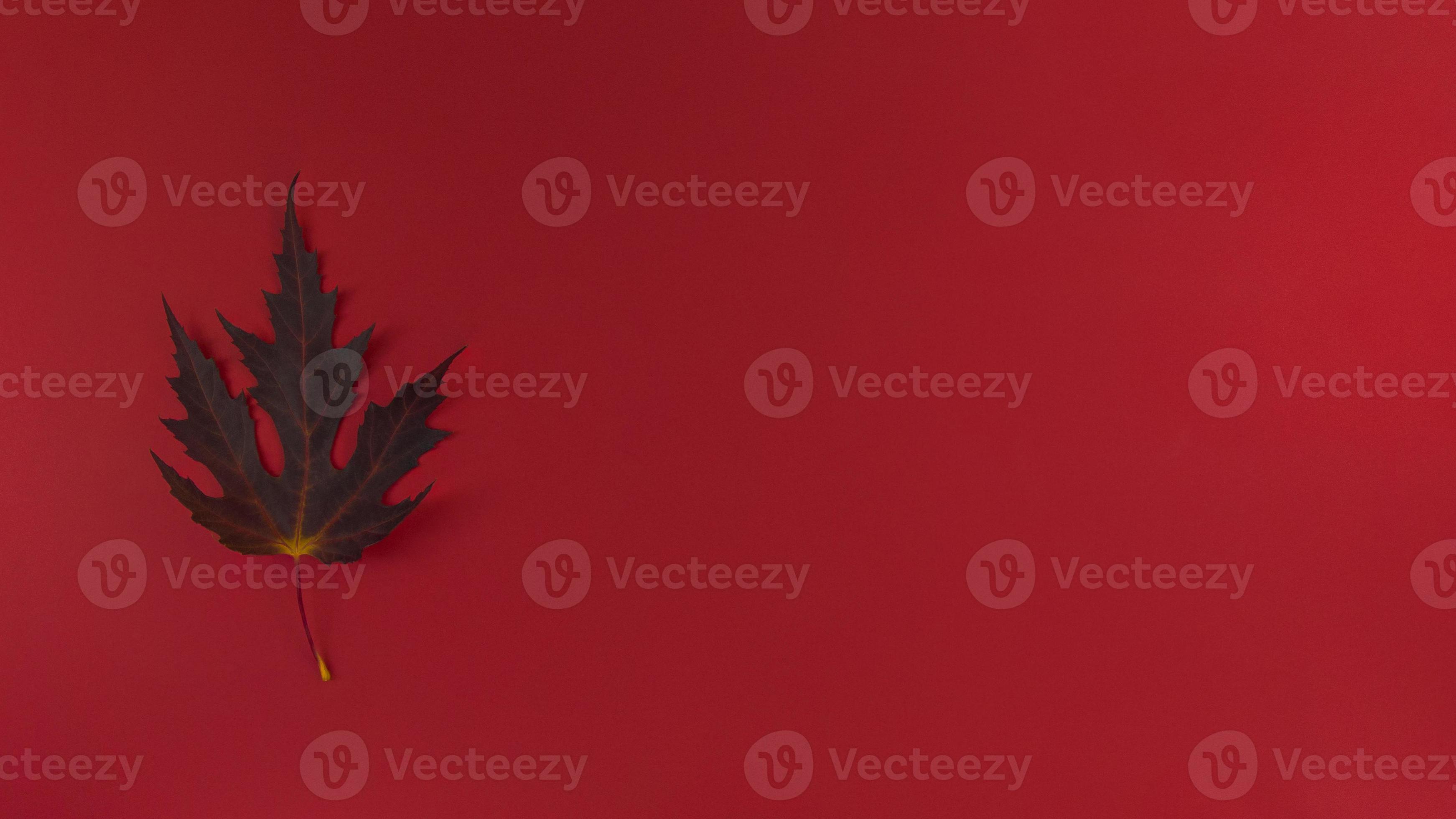 Herbstblatt auf einem roten Hintergrund einfache flache Laienfahne mit Kopienraum foto