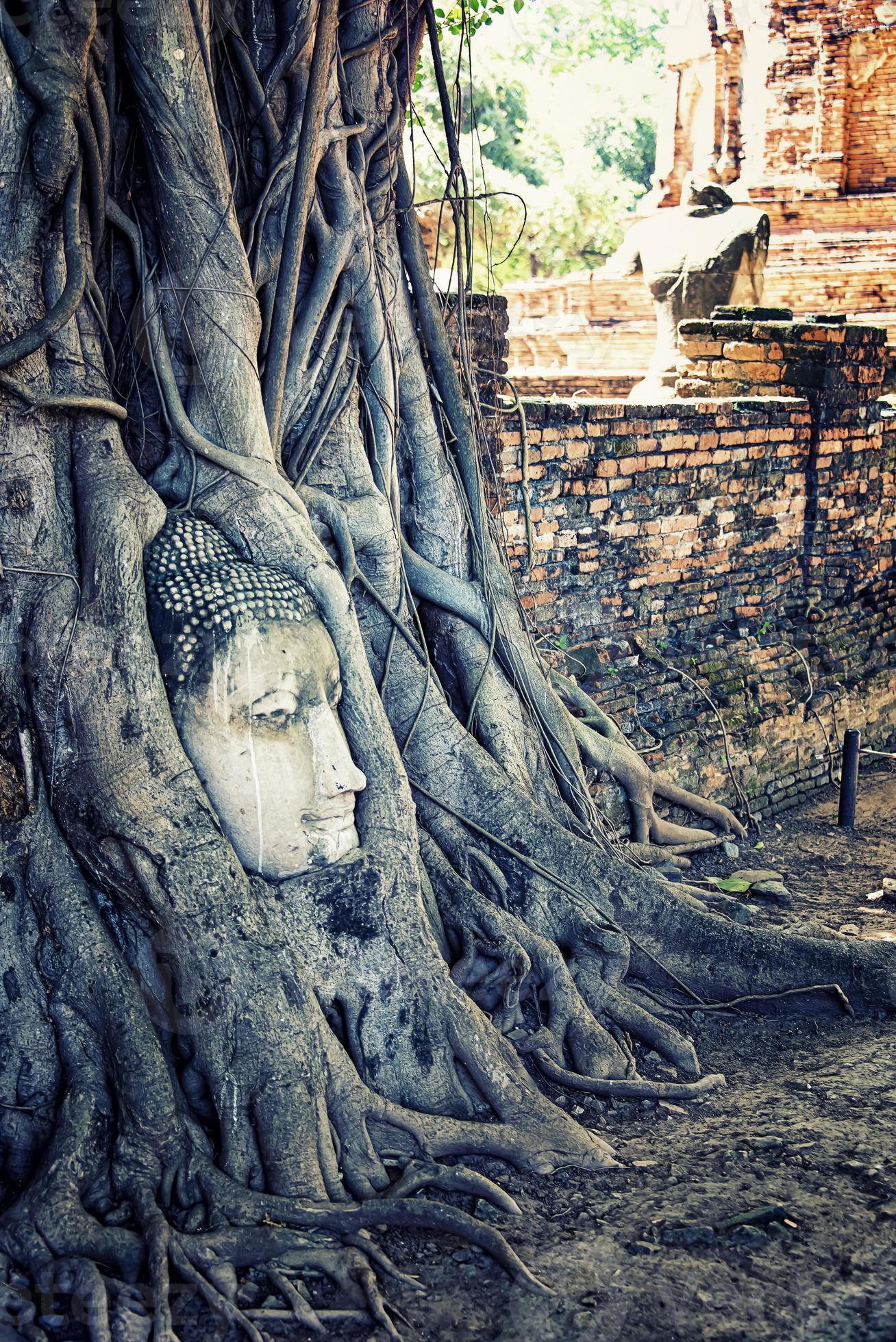 Buddha Kopf in Wat Mahathat Ayutthaya foto