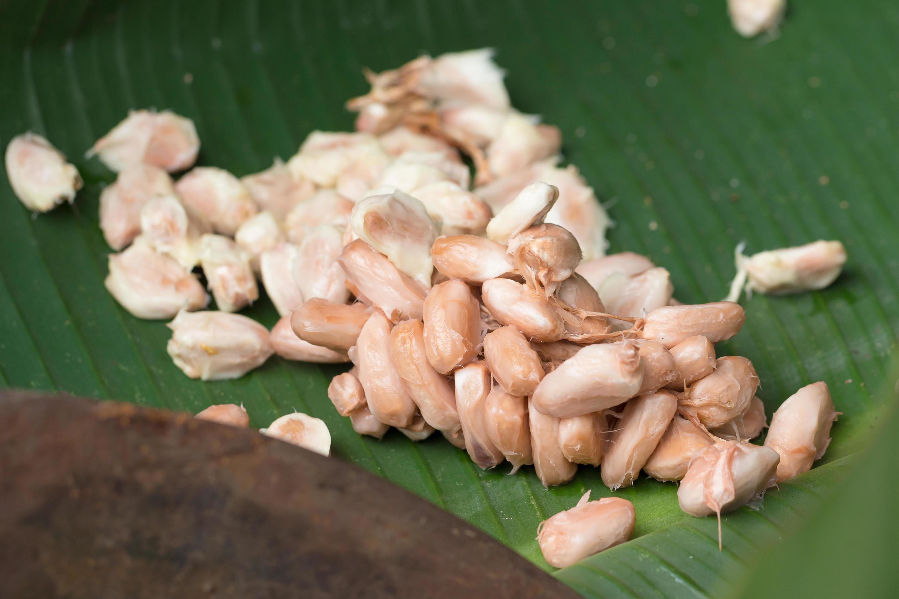 rohe Kakaobohnen, frische Kakaobohnen im Karton foto