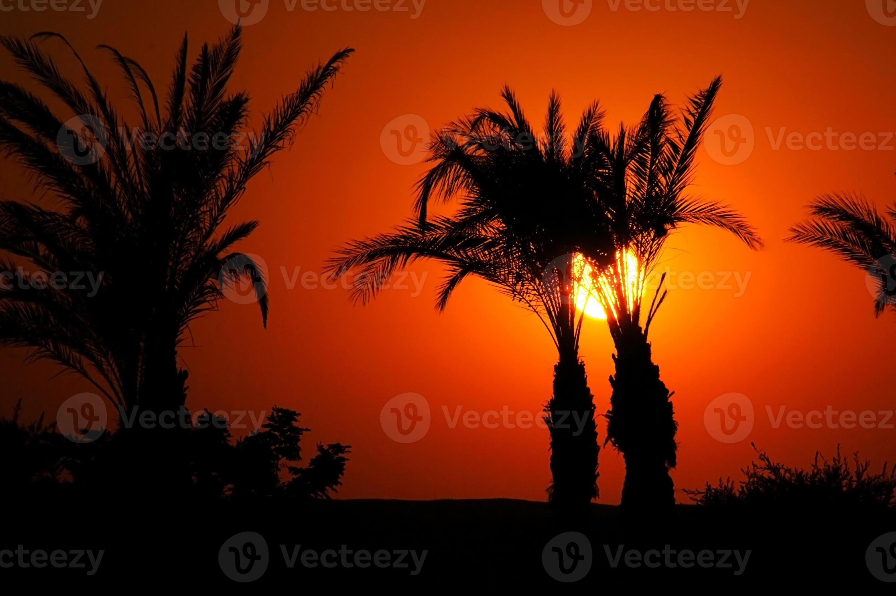 Sonnenuntergang in Ägypten foto