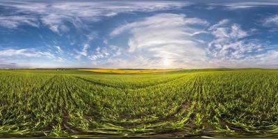 Vollständiges, nahtloses sphärisches HDRI-Panorama 360-Grad-Winkelansicht zwischen den Feldern am Frühlingsabend mit fantastischen Wolken in equirectangularer Projektion, bereit für VR-AR-Virtual-Reality-Inhalte foto