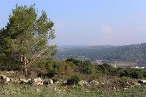 Landschaft in den Bergen im Norden Israels foto