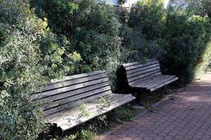 Bank in einem Stadtpark an der Mittelmeerküste foto