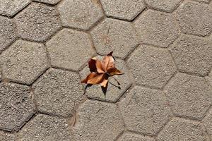 Bürgersteig für Fußgänger in einer Großstadt foto