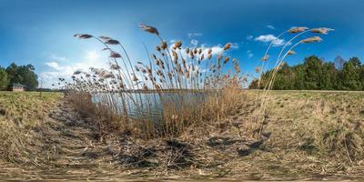 Vollständiges nahtloses hdri-sphärisches Panorama 360-Grad-Winkelansicht auf Schilfdickicht in der Nähe des breiten Sees an sonnigen Tagen. 360-Grad-Panorama in äquirektangulärer Projektion, fertige VR- und Virtual-Reality-Inhalte foto